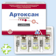Артоксон