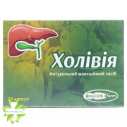 Холивия