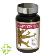 Nutri expert гарпагофитум