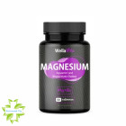 Магнезіум + Вітамін В6 Wella Vita