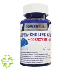 Альфа-холин глицерофосфат + Коензим Q10 POWERFUL