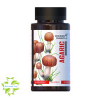 Гриб Агарік Mushroom Pharmacy Agaric