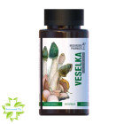 Гриб Радуга Mushroom Pharmacy Veselka