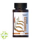 Гриб Кордицепс Mushroom Pharmacy Cordyceps