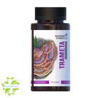 Гриб Трамета Mushroom Pharmacy Trameta