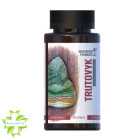 Гриб Трутовик Mushroom Pharmacy Trutovyk