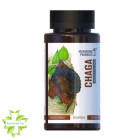 Гриб Чага Mushroom Pharmacy Chaga
