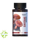 Гриб Шиитаке