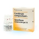 Церебрум композитум